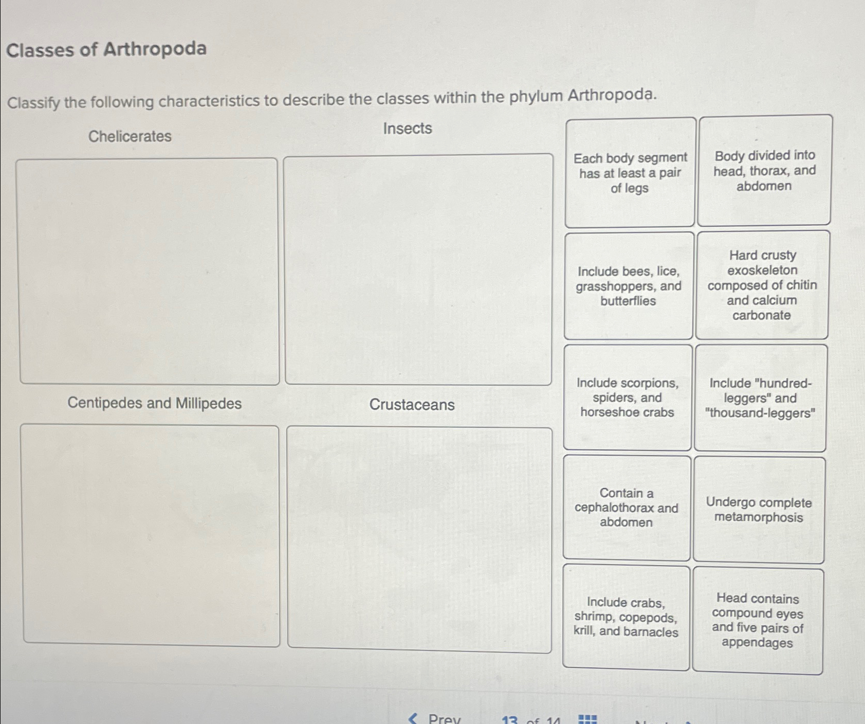 Solved Classes Of Arthropodaclassify The Following Chegg