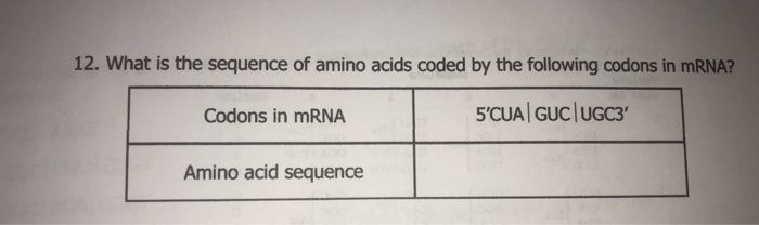 Solved 12. What is the sequence of amino acids coded by the | Chegg.com