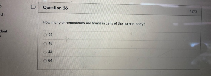 Solved D Question 11 1 pts Which of the following is a | Chegg.com