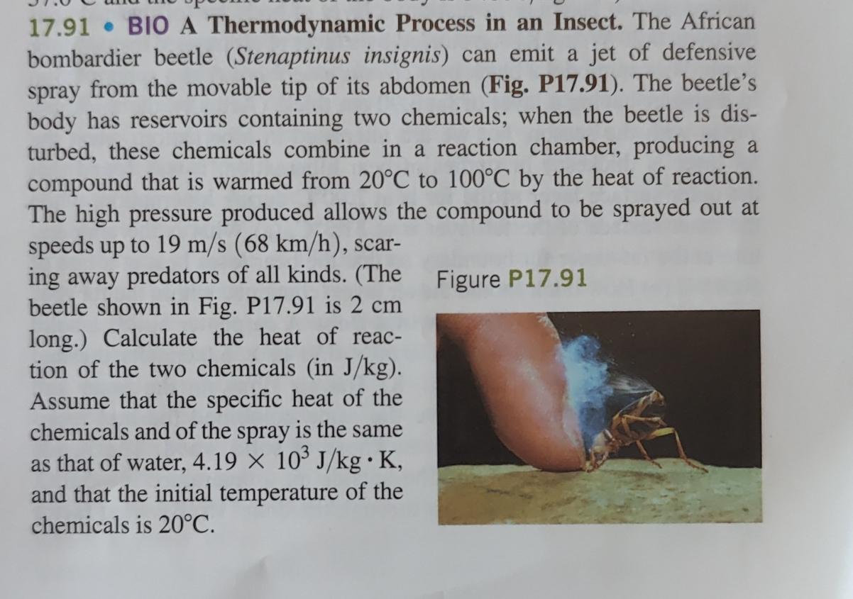 Temperature In Insect Solved 17.91 - BIO A Thermodynamic Process in an Insect. | Chegg.com