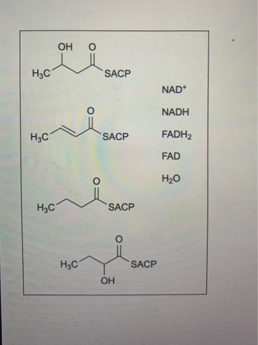 Solved Exit Shown below is a partial reaction scheme for the | Chegg.com