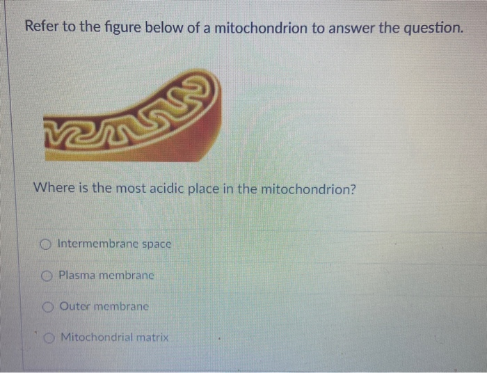 Solved Refer to the figure below of a mitochondrion to | Chegg.com