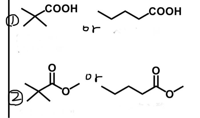 Solved COOH X or or COOH | Chegg.com