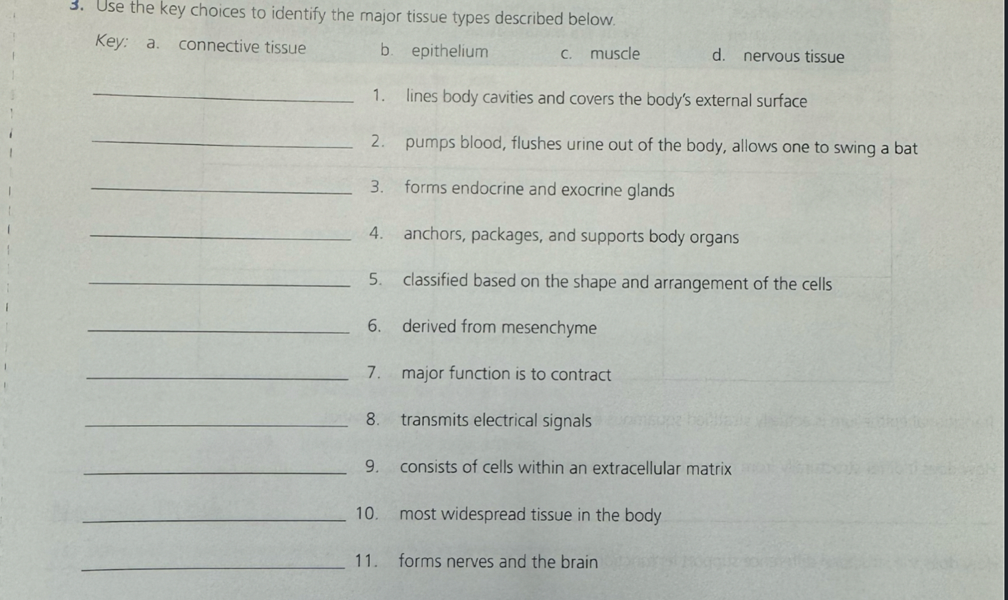 Solved Use the key choices to identify the major tissue | Chegg.com