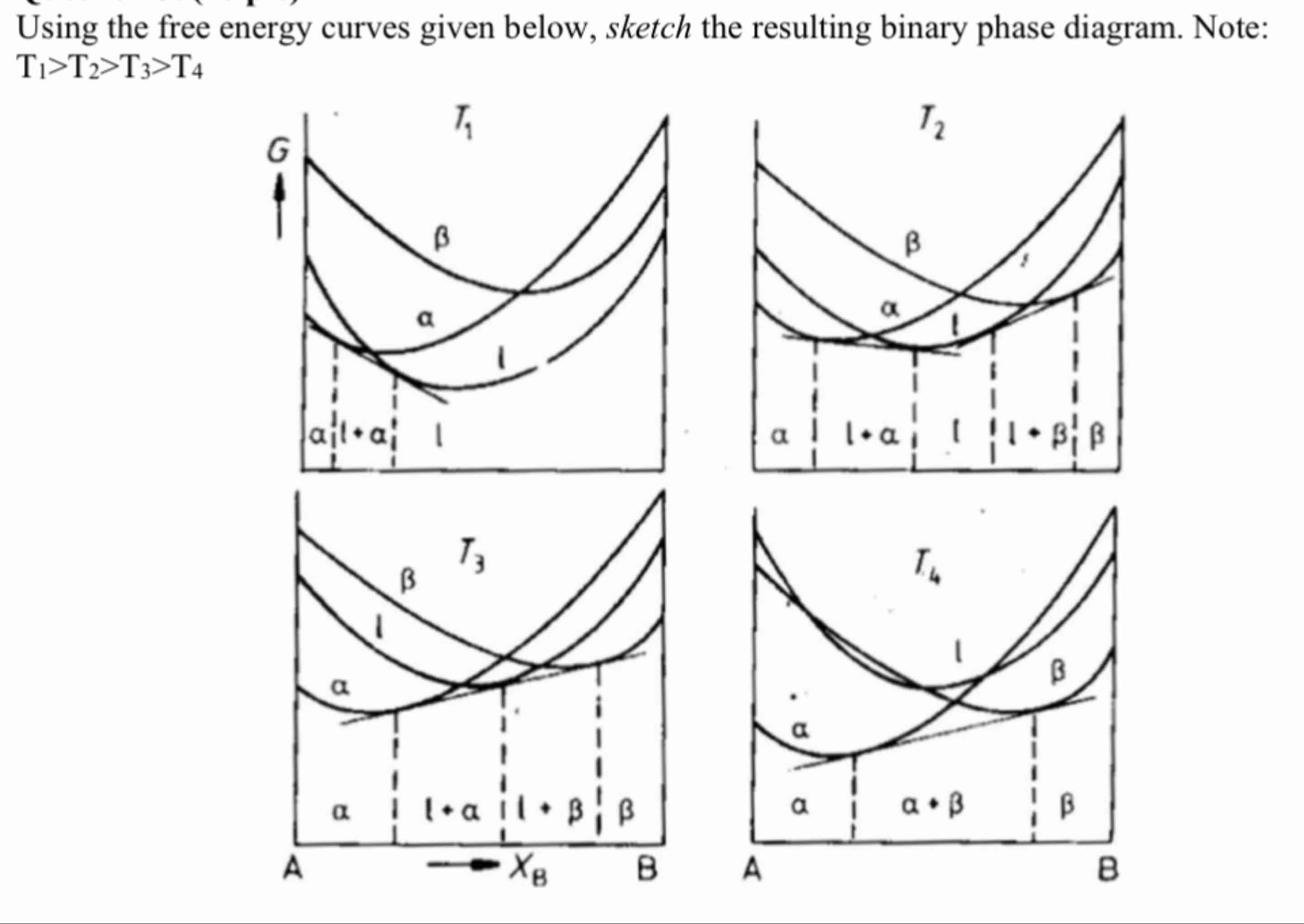 Solved Using the free energy curves given below, sketch the | Chegg.com
