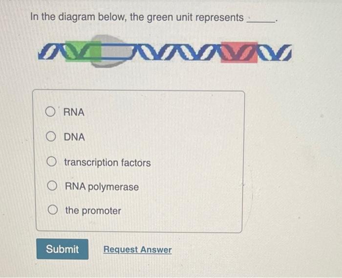 Solved In the diagram below, the gray unit represents RNA