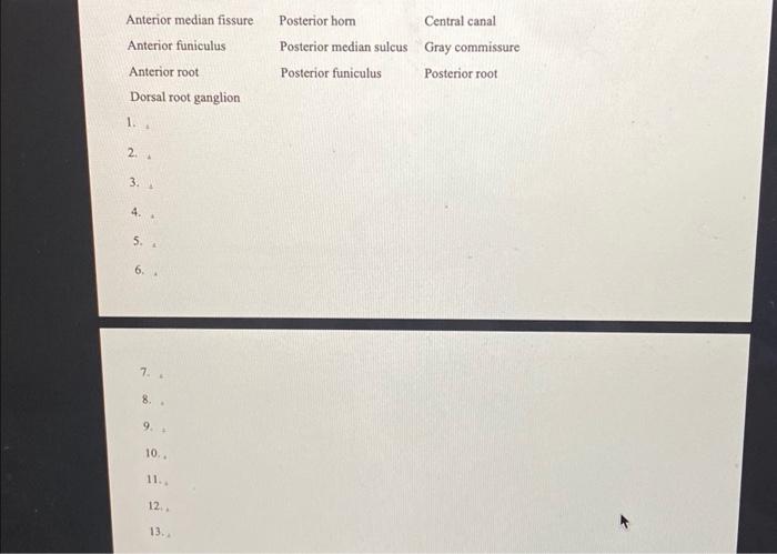 Solved STRUCTURES OF THE SPINAL CORD Label the following | Chegg.com