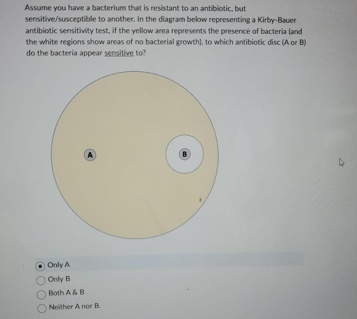 Solved Assume you have a bacterium that is resistant to an | Chegg.com