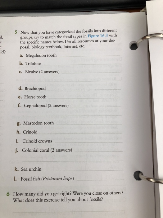 Solved 5 Now that you have categorized the fossils into