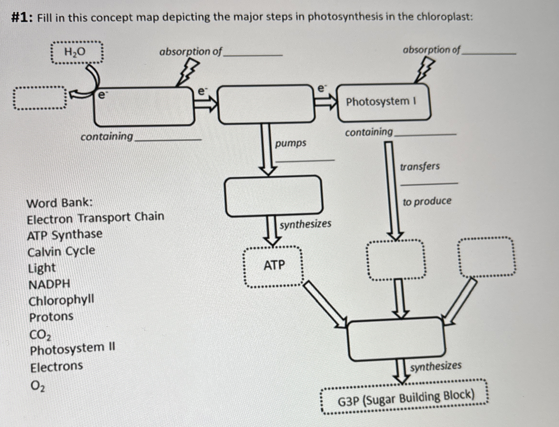 student submitted image, transcription available below