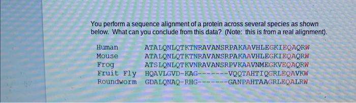 Solved You perform a sequence alignment of a protein across | Chegg.com