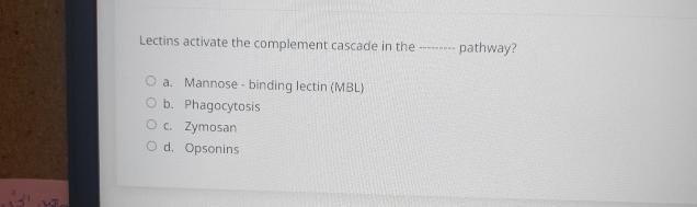 Solved Lectins activate the complement cascade in the | Chegg.com
