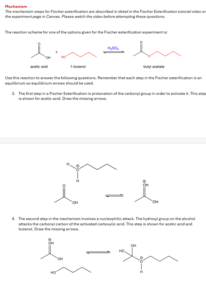 Solved Mechanism The mechanism steps for Fischer | Chegg.com