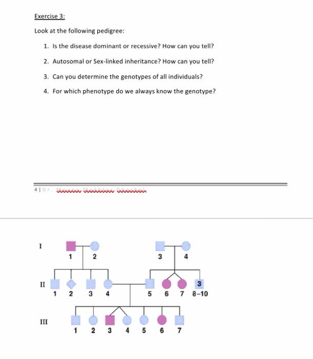 Solved Exercise 4: A man with type O blood marries a woman | Chegg.com