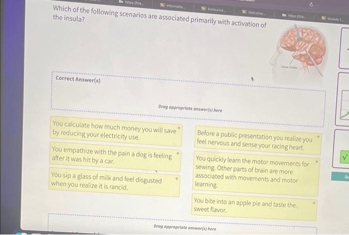 Which of the following scenarios are associated primarily with activation of the insula?
Correct Answer(s)
Drag appropriote o