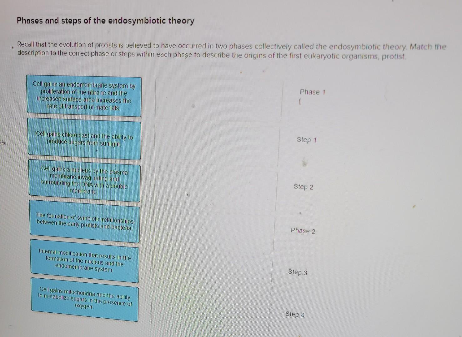 Solved Phases and steps of the endosymbiotic theory . Recall | Chegg.com