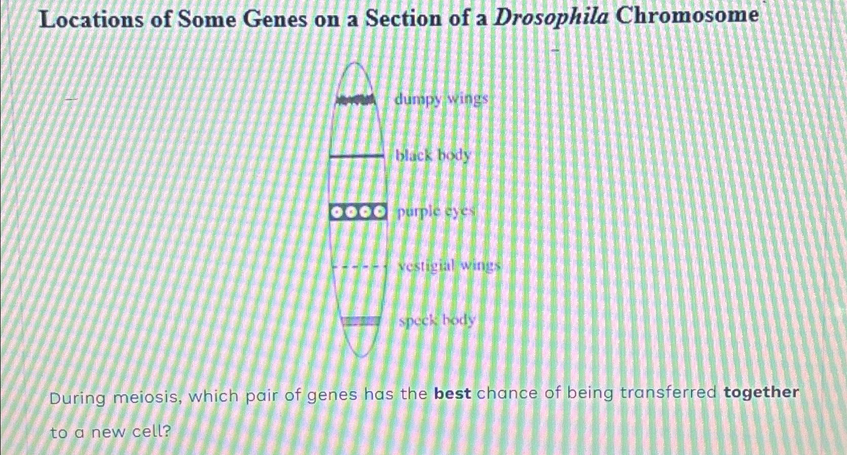 Locations of Some Genes on a Section of a Drosophila | Chegg.com