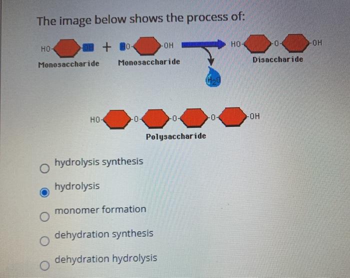 Solved The Image Below Shows The Process Of: HO- OH DB + 80- | Chegg.com