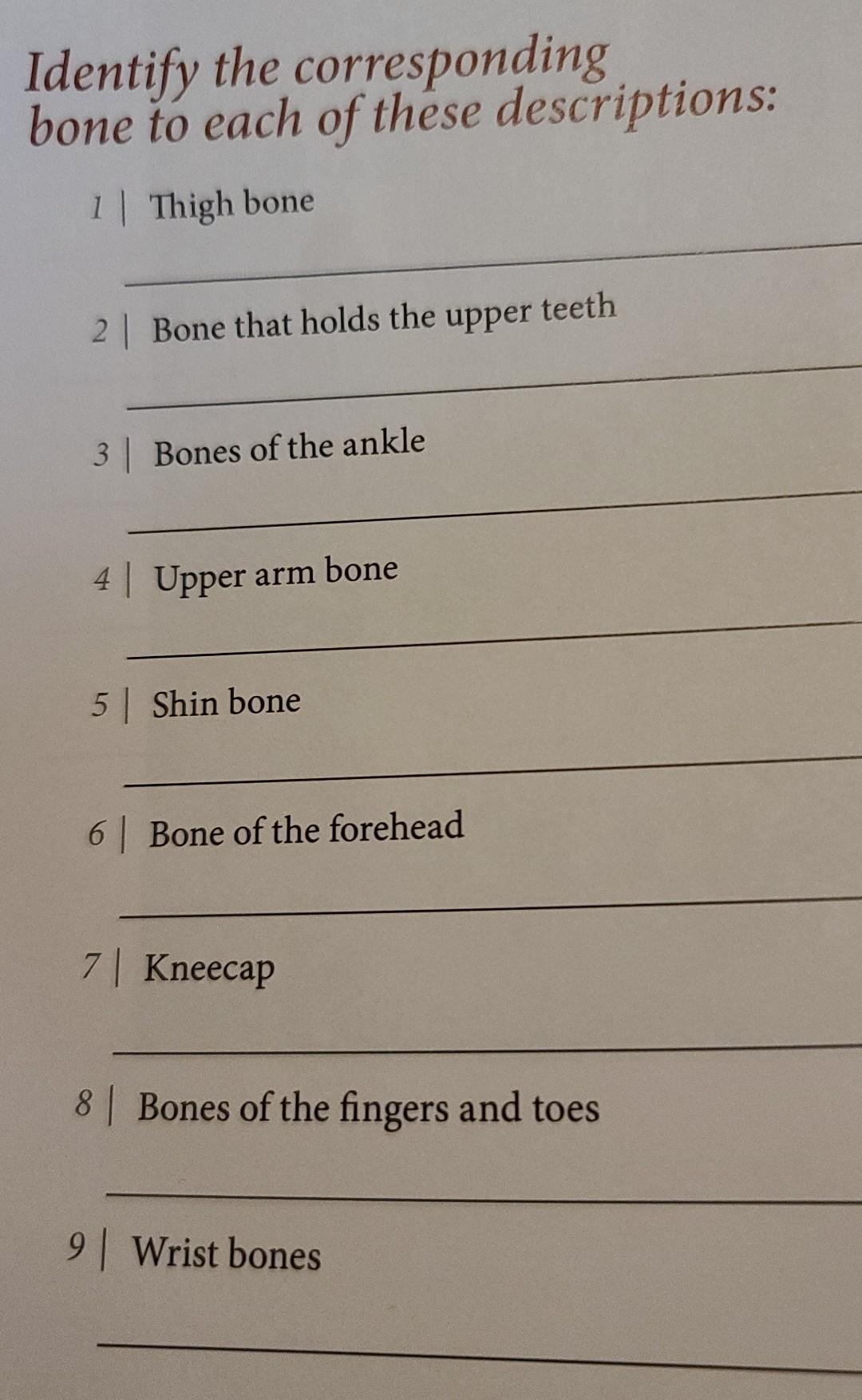 Solved Identify The Corresponding Bone To Each Of These | Chegg.com