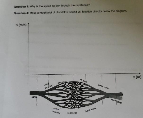 Solved Oys 100cc S Ve But Alta Na The Unit Cc Means Chegg Com