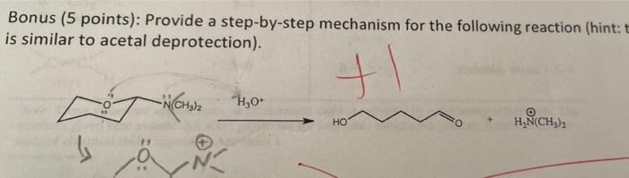 Solved Bonus (5 points): Provide a step-by-step mechanism | Chegg.com