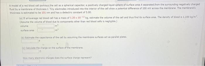 Solved A model of a red blood ceil portrays the cell as a | Chegg.com