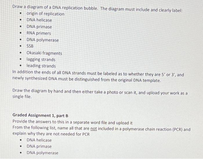 Solved . . . Draw a diagram of a DNA replication bubble. The | Chegg.com