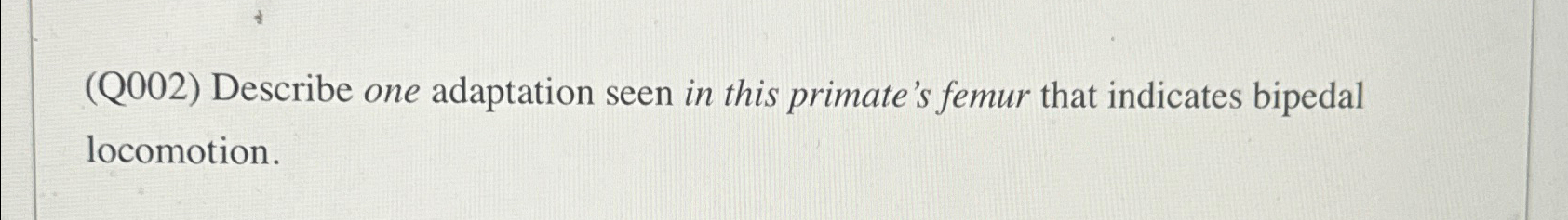 Solved (Q002) ﻿Describe One Adaptation Seen In This | Chegg.com