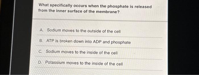 Solved What specifically occurs when the phosphate is | Chegg.com