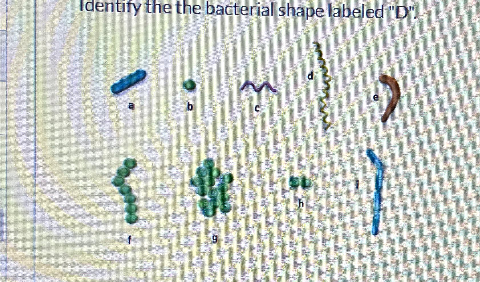 Solved Identify the the bacterial shape labeled "D".f,.g | Chegg.com