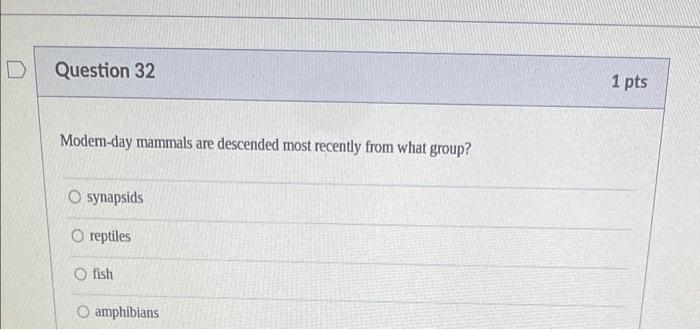 Solved Question 21 1 Pts The Discovery Of The Fossilized | Chegg.com