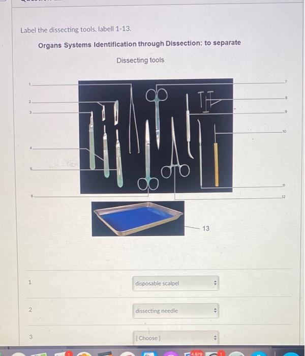 Solved Label The Dissecting Tools Labell Organs Chegg Com