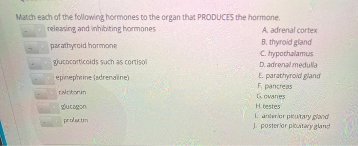 Solved Match each of the following hormones to the organ | Chegg.com