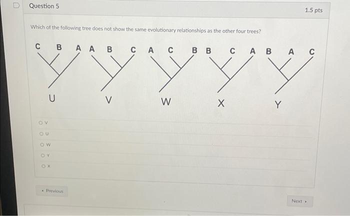 Solved D Question 5 1.5 pts Which of the following tree does | Chegg.com