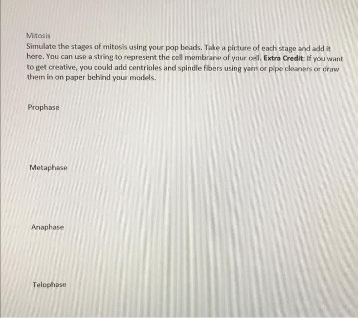 Solved Mitosis Simulate the stages of mitosis using your pop | Chegg.com