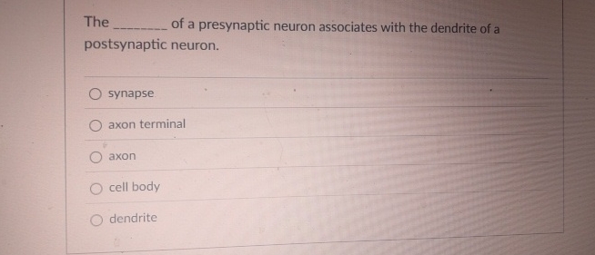 Solved The ﻿of a presynaptic neuron associates with the | Chegg.com