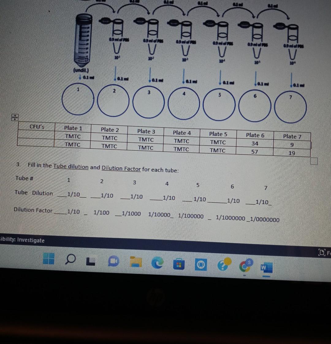 3. Fill in the Tube dilution and Dilution Factor for | Chegg.com