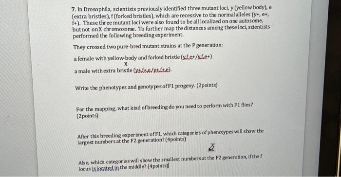 Solved 7. In Drosophila, scientists previously identified | Chegg.com