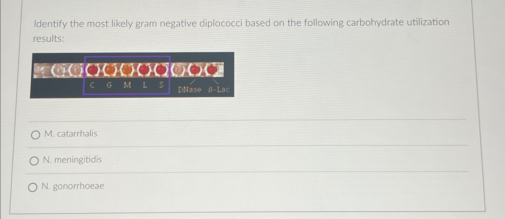 Solved Identify the most likely gram negative diplococci | Chegg.com