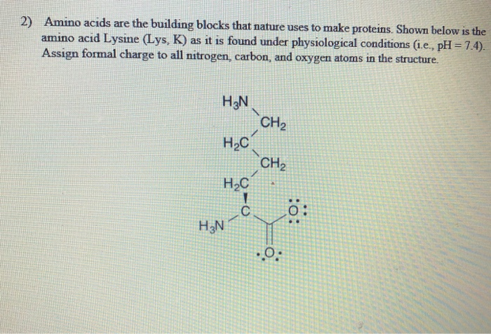lysine structure charged