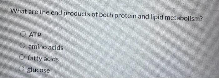 What are the end products of both protein and lipid metabolism?
ATP
amino acids
fatty acids
glucose