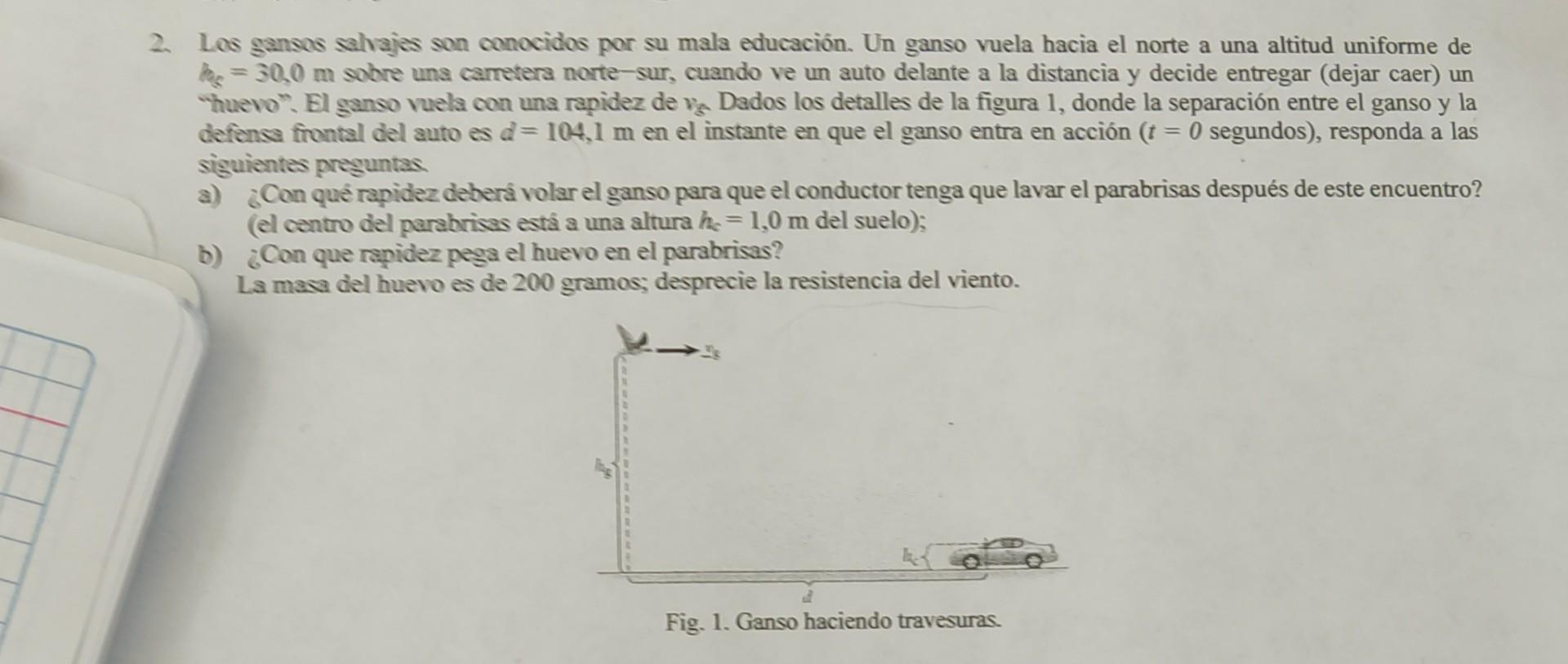 Los gansos salvajes son conocidos por su mala educación. Un ganso vuela hacia el norte a una altitud uniforme de \( \mathrm{B