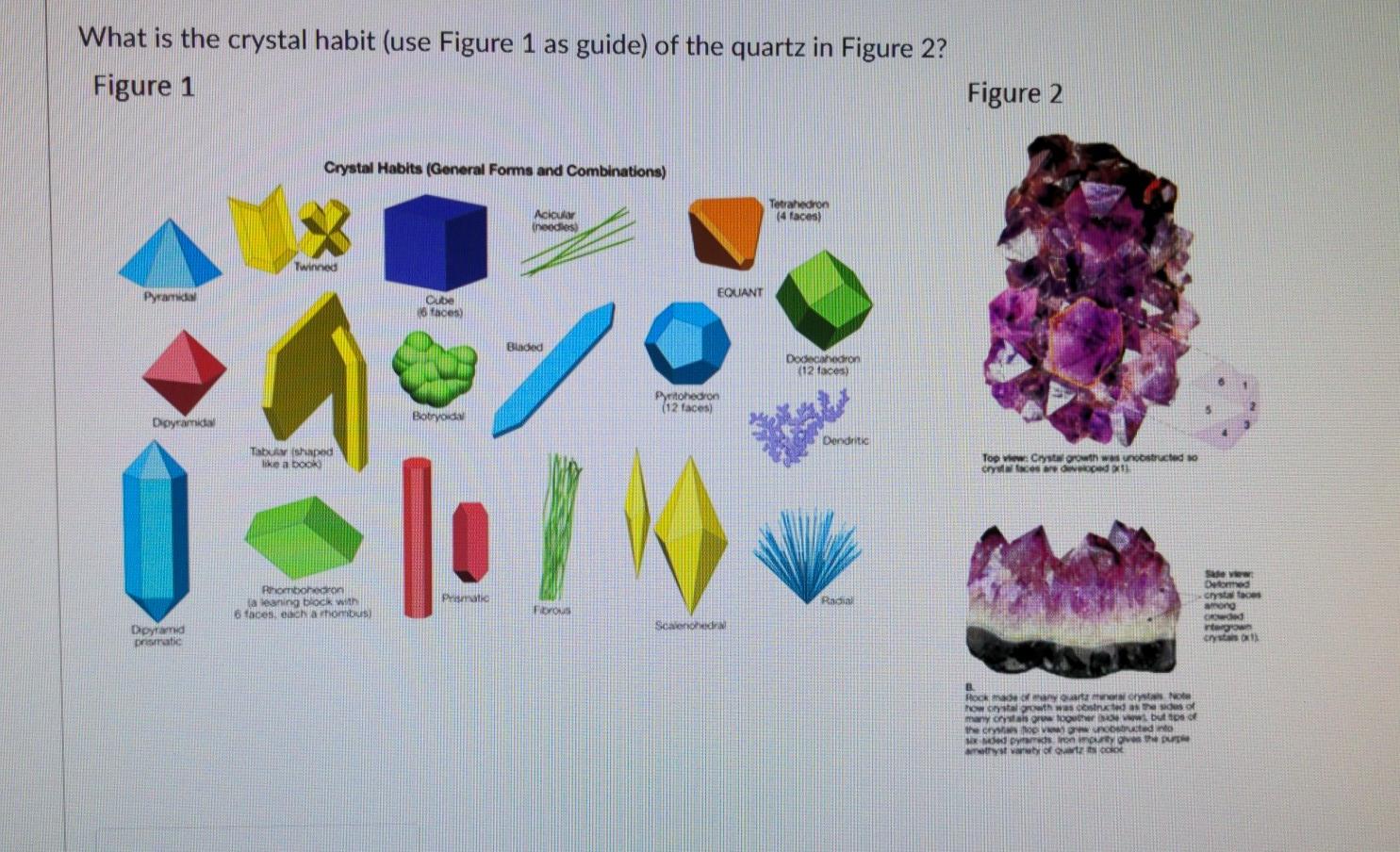 Solved What is the crystal habit (use Figure 1 as guide) of | Chegg.com