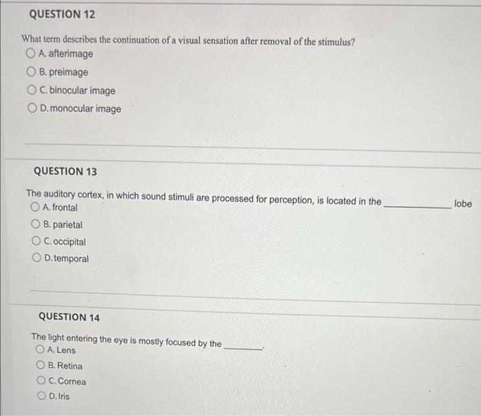 solved-clues-question-6-clues-to-sound-localization-that-chegg