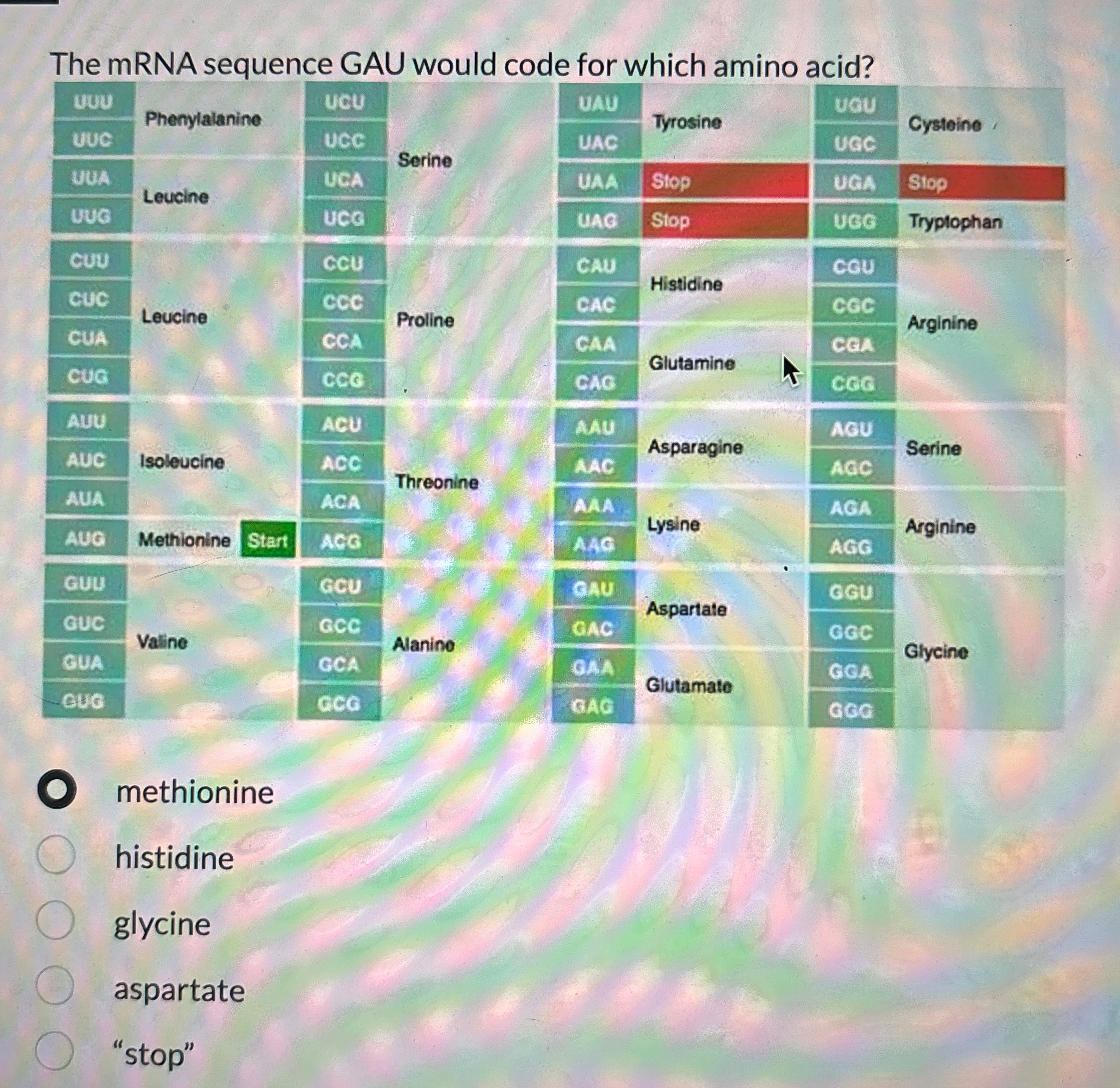 Solved The mRNA sequence GAU would code for which amino | Chegg.com