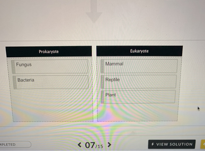 Solved i keep getting this question wrong but i dont | Chegg.com
