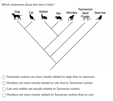 Solved Tasmanian wolves are more closely related to dogs | Chegg.com