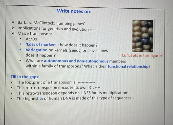 Solved Barbara McClintock 'jumping genes' Implications for