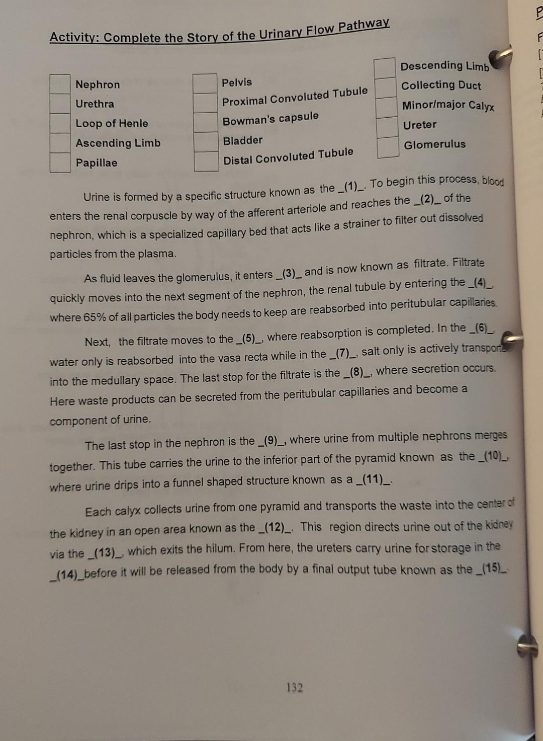 Solved Activity complete this story of the urinary flow