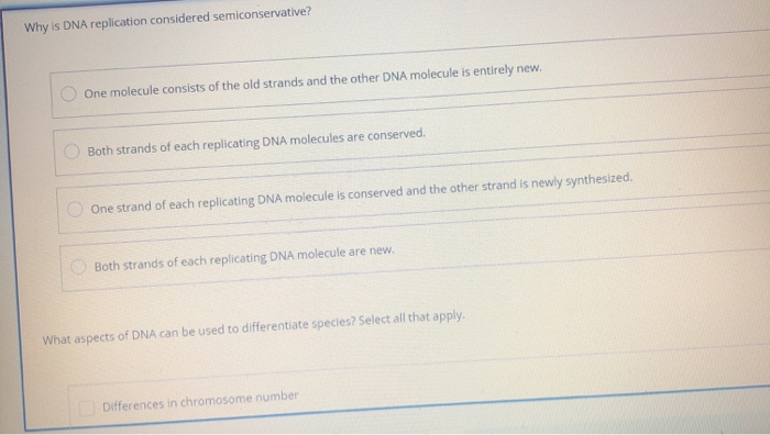 Solved Why is DNA replication considered semiconservative? | Chegg.com